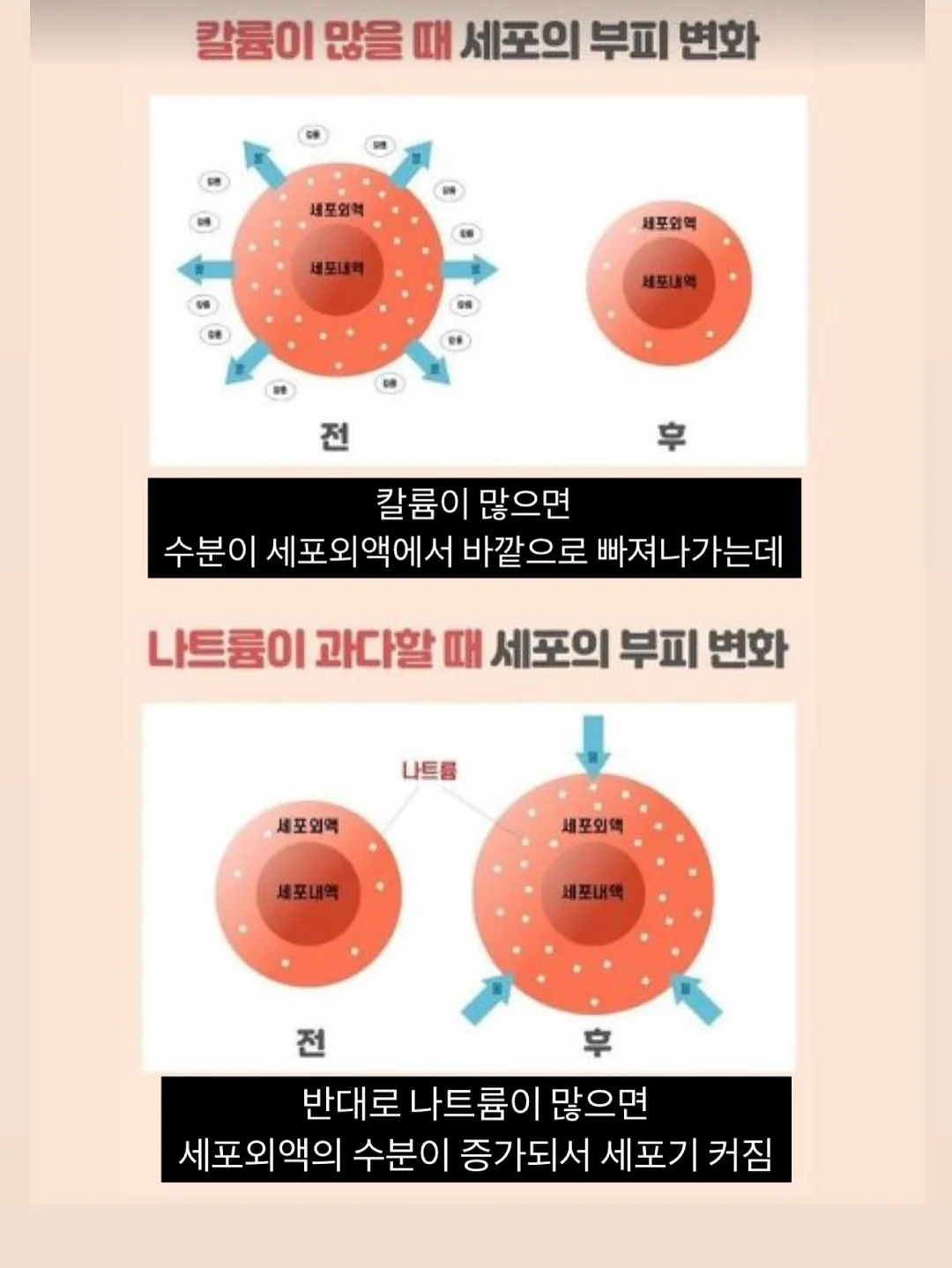 이동식주택 5