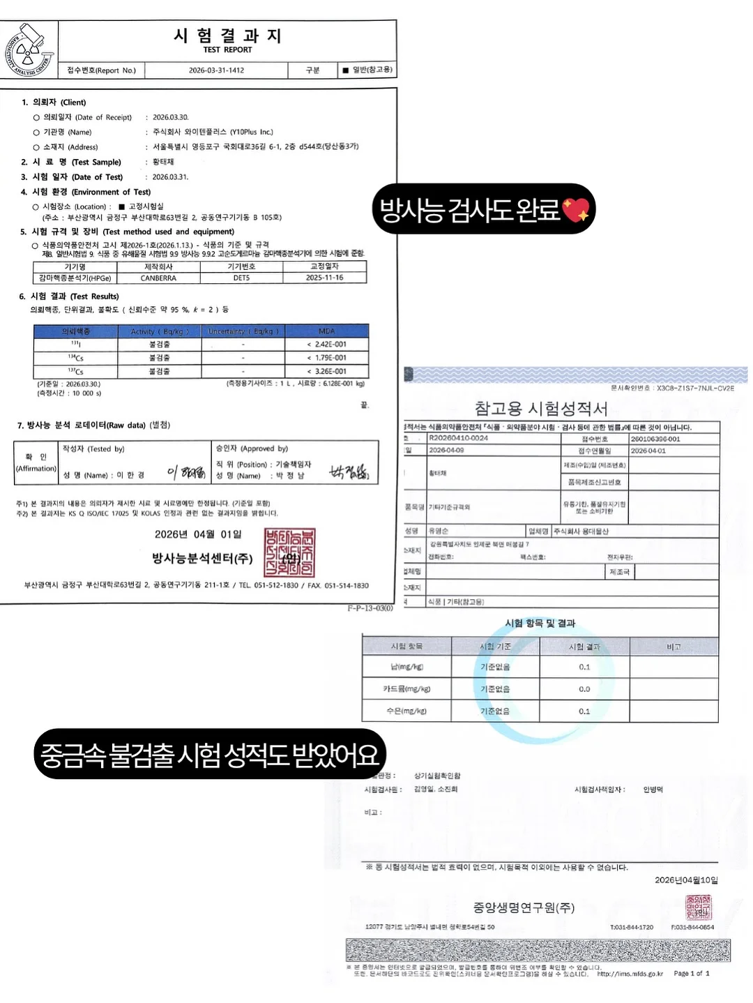원터치 텐트 11