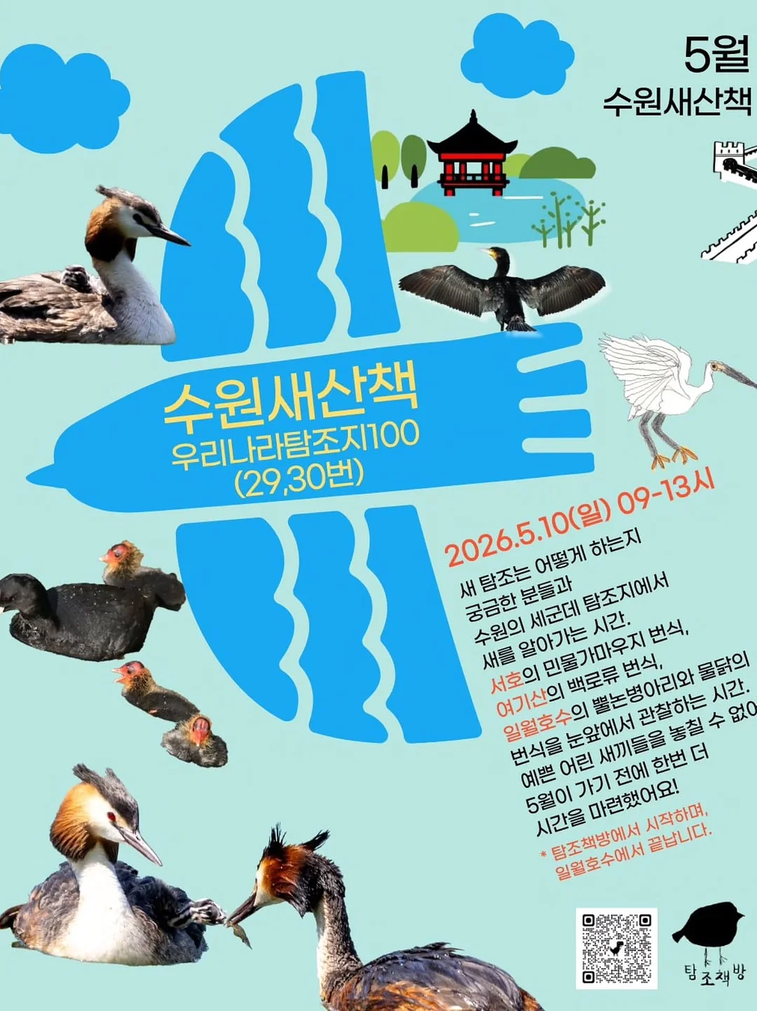 옥수수 안주 12