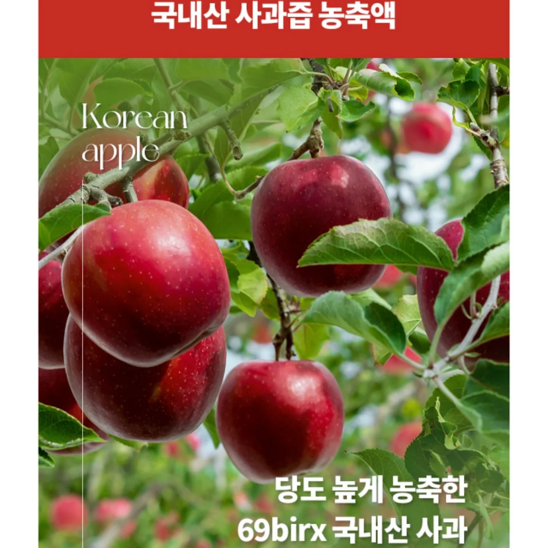 소품 17