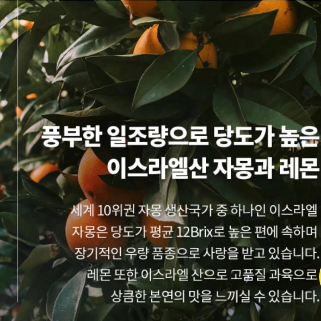 소품 4