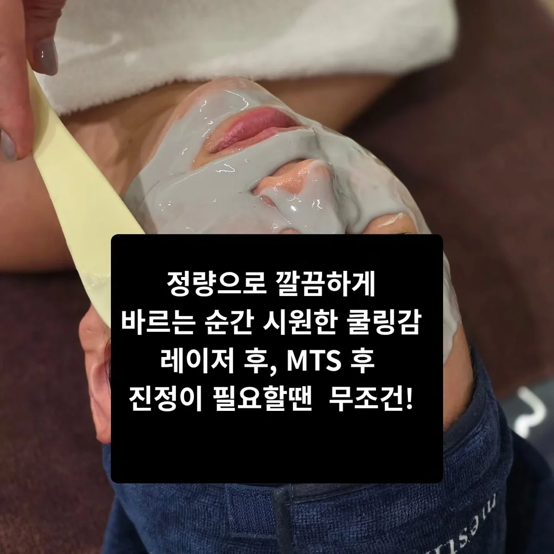 숲이 여름을 기억하게 된다면 2