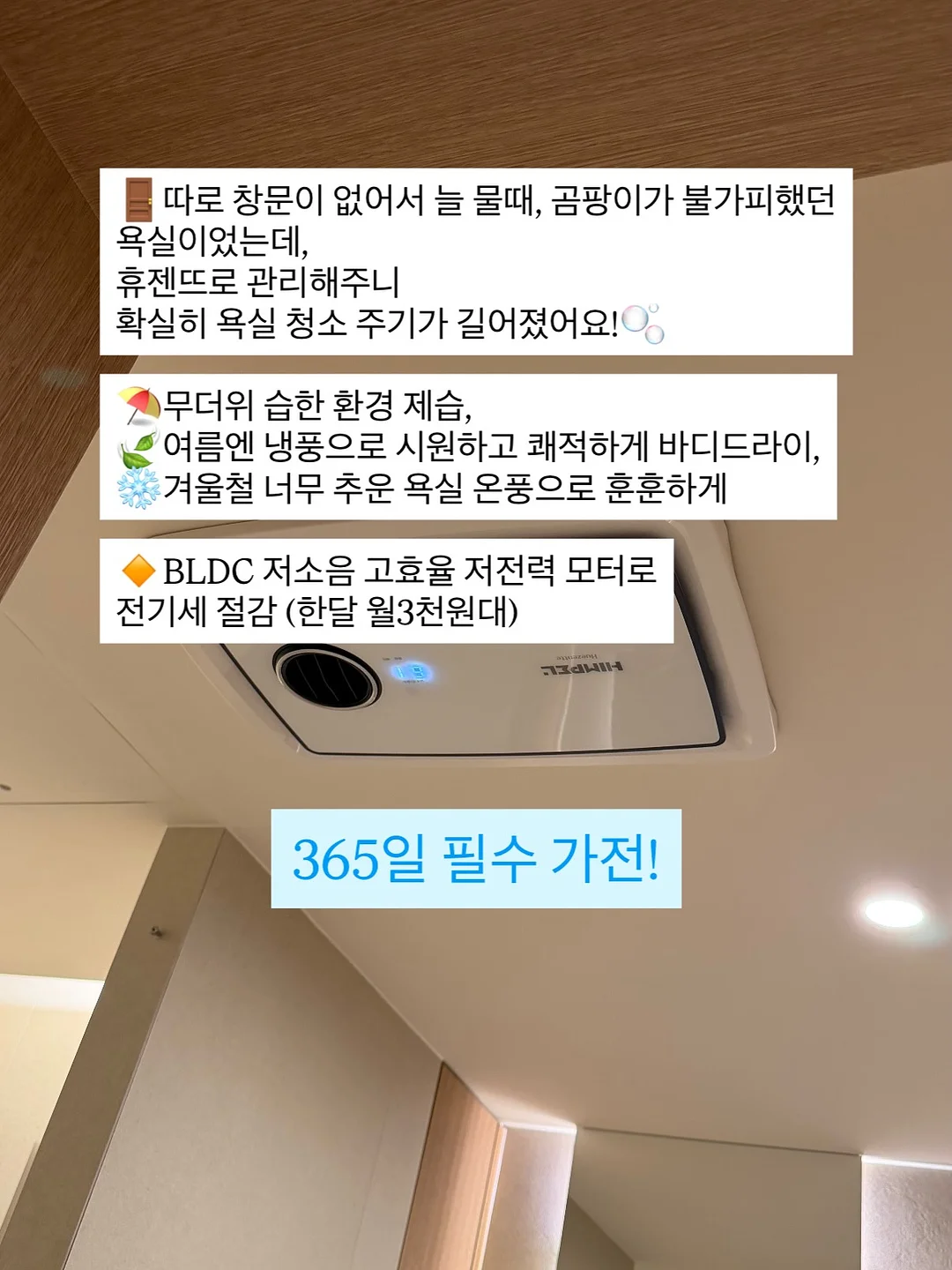 쁘띠따쁘띠 플라워 딸기생크림 부케 19