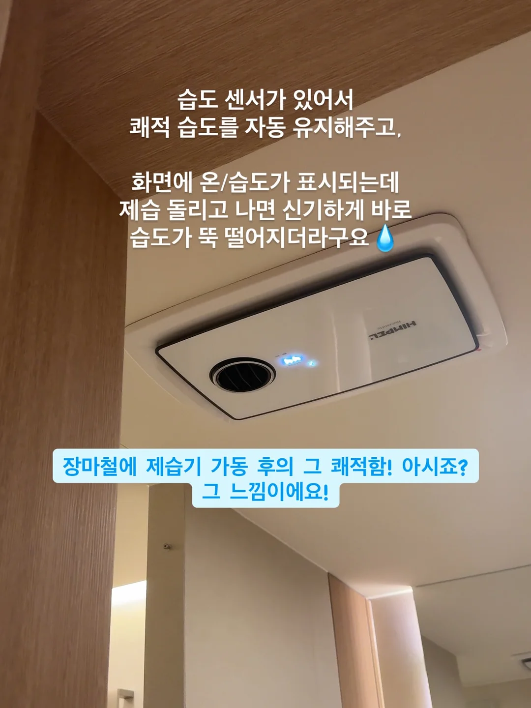 쁘띠따쁘띠 플라워 딸기생크림 부케 3