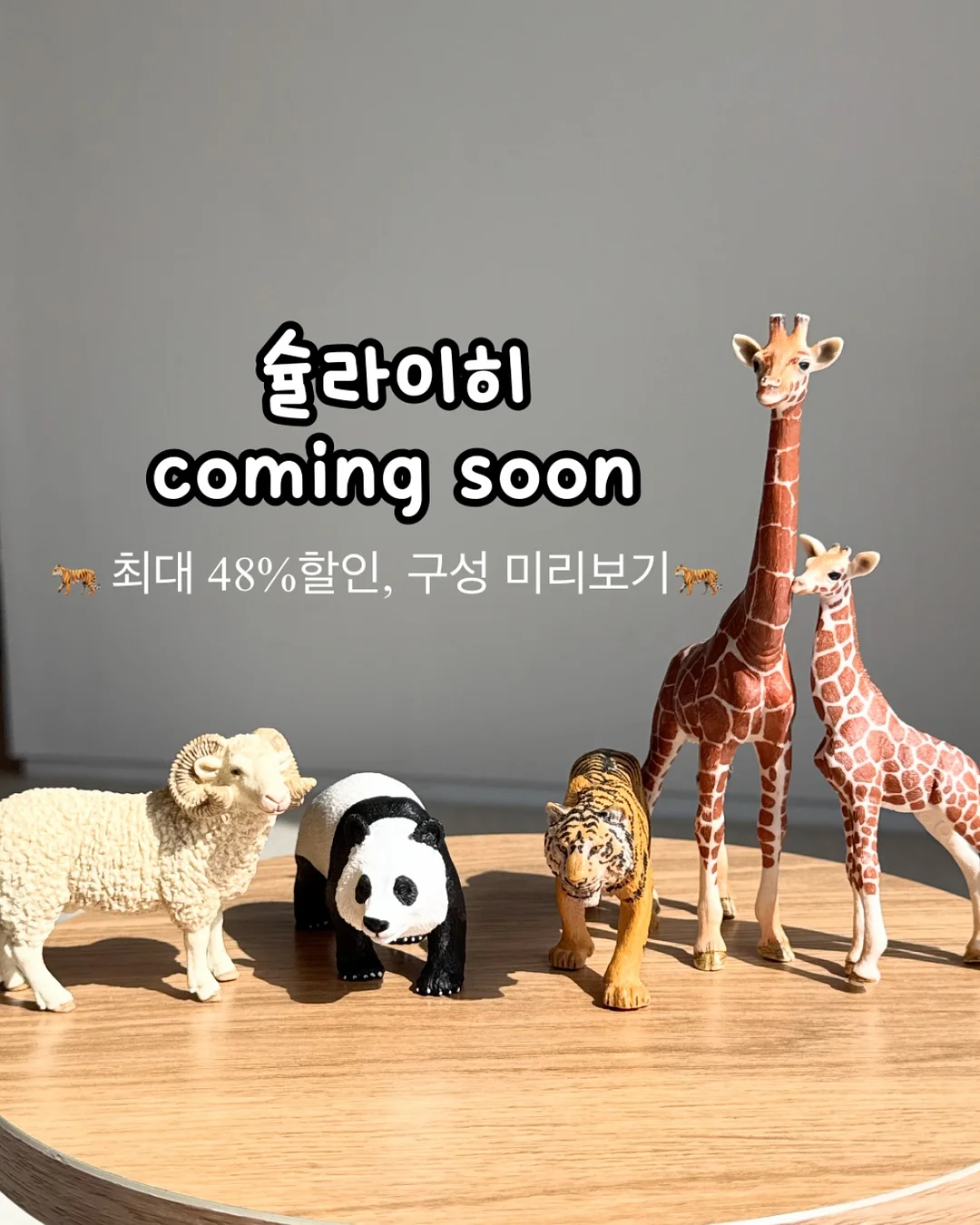 인어공주 박스 1