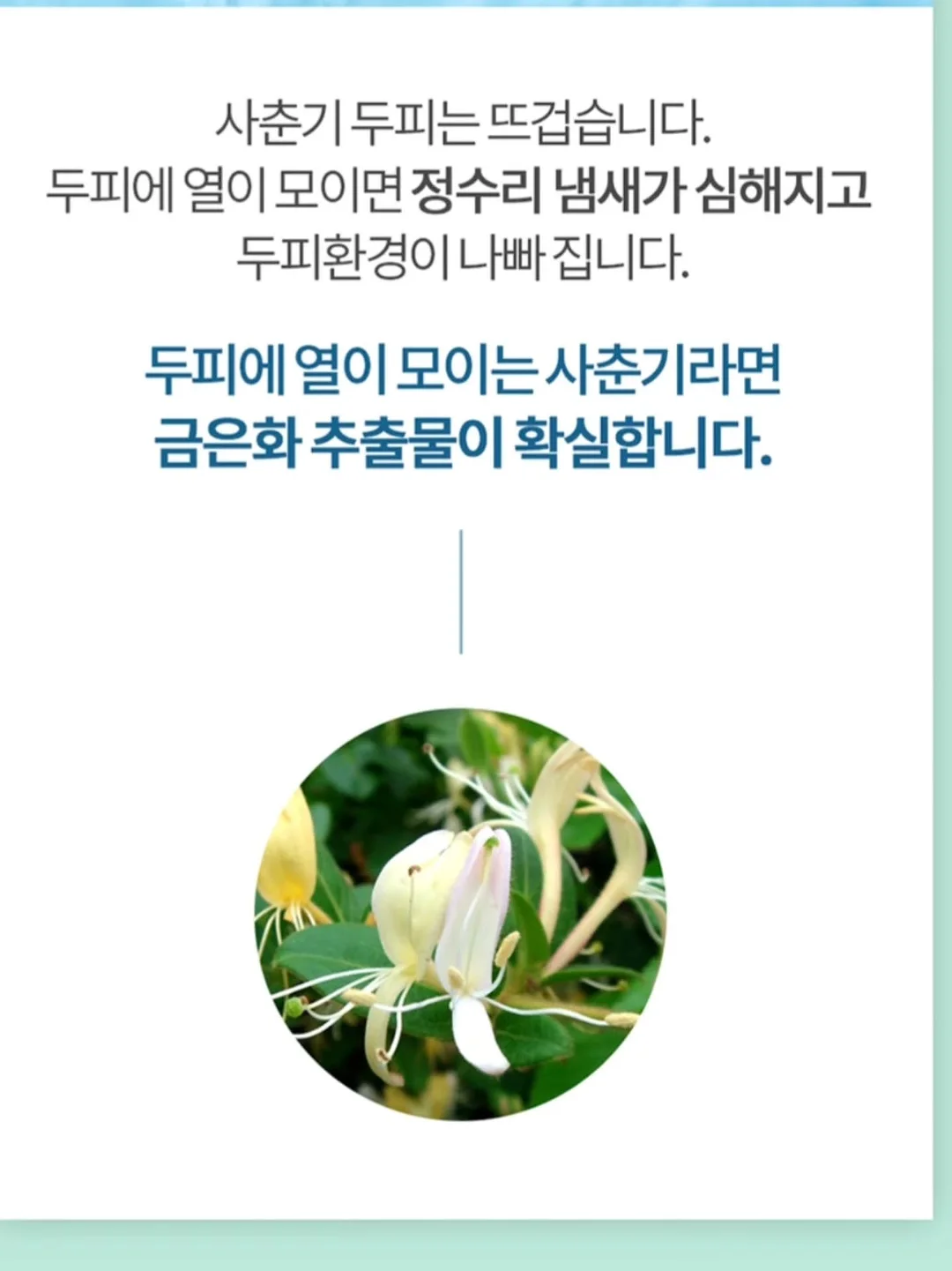 휴대용 선풍기 13