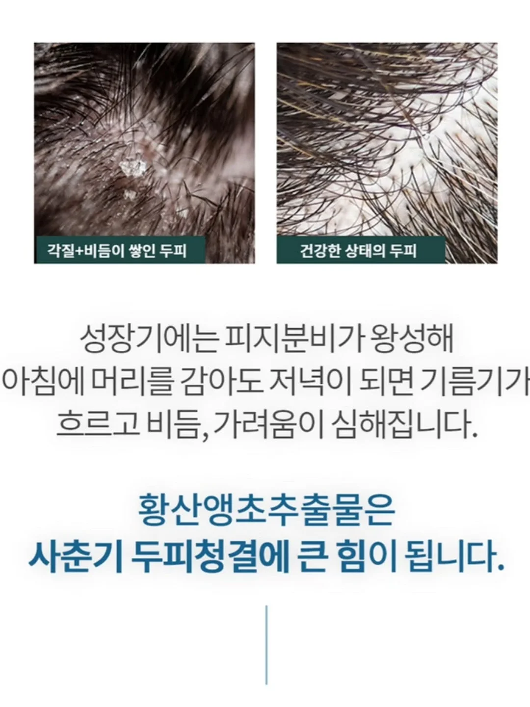 휴대용 선풍기 16