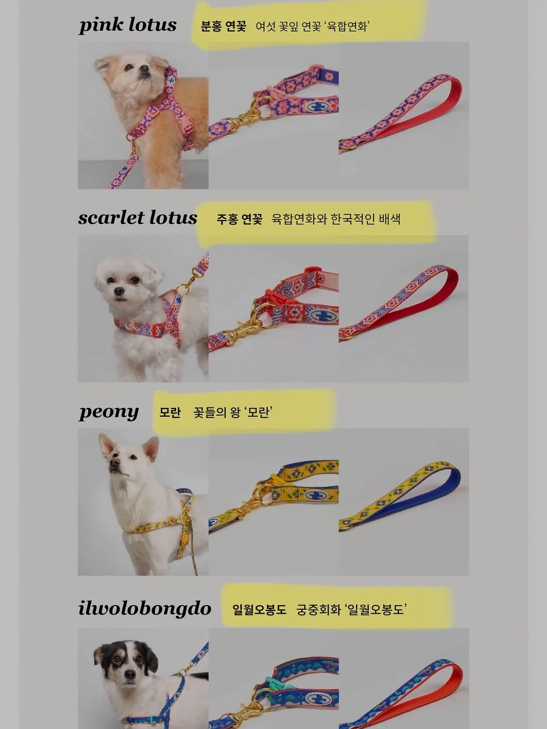 DDASOM 카네이션 보자기 20