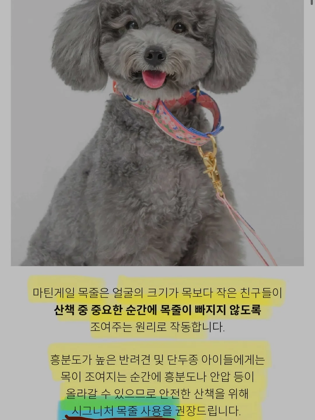 DDASOM 카네이션 보자기 2