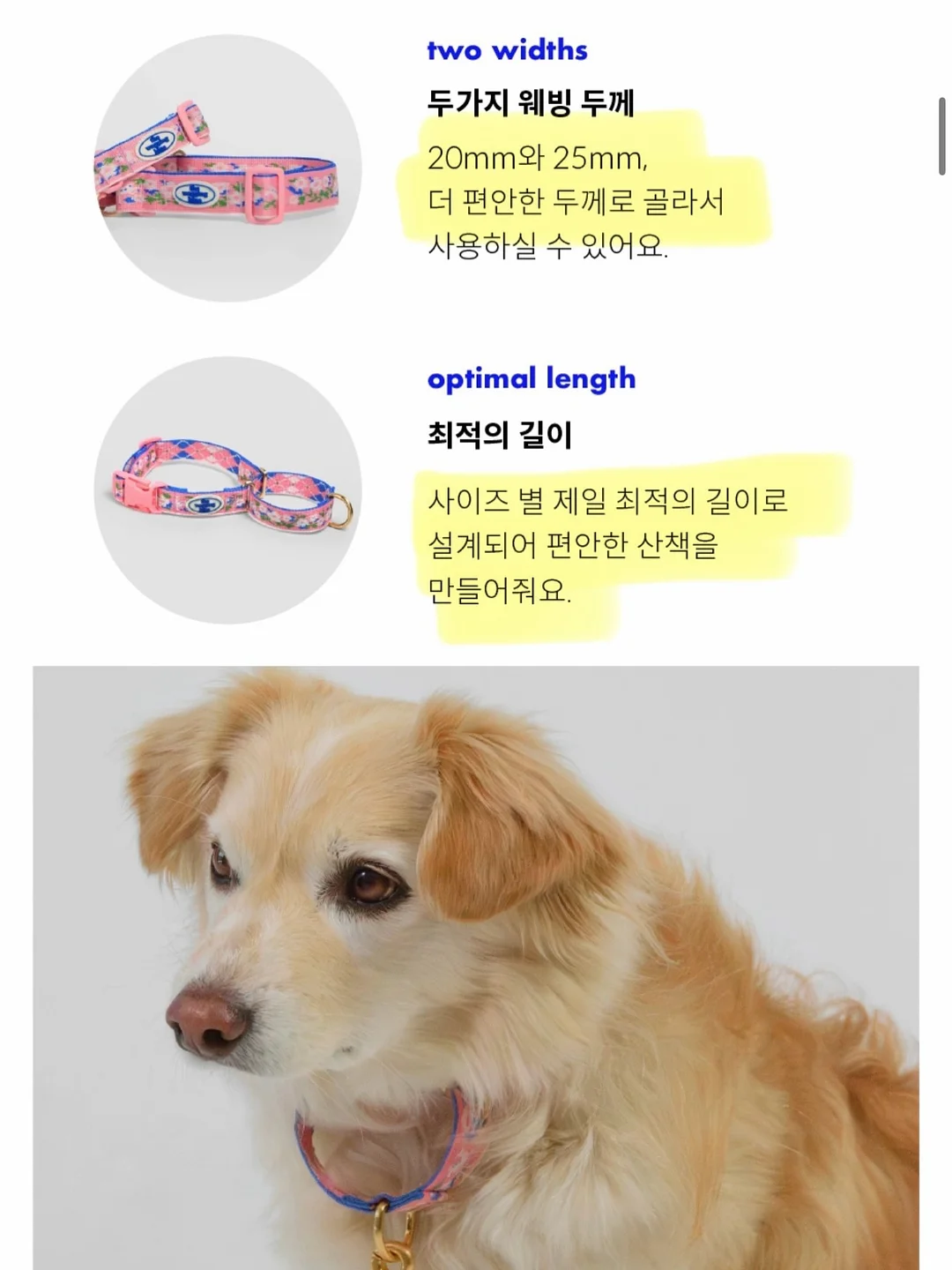 DDASOM 카네이션 보자기 3