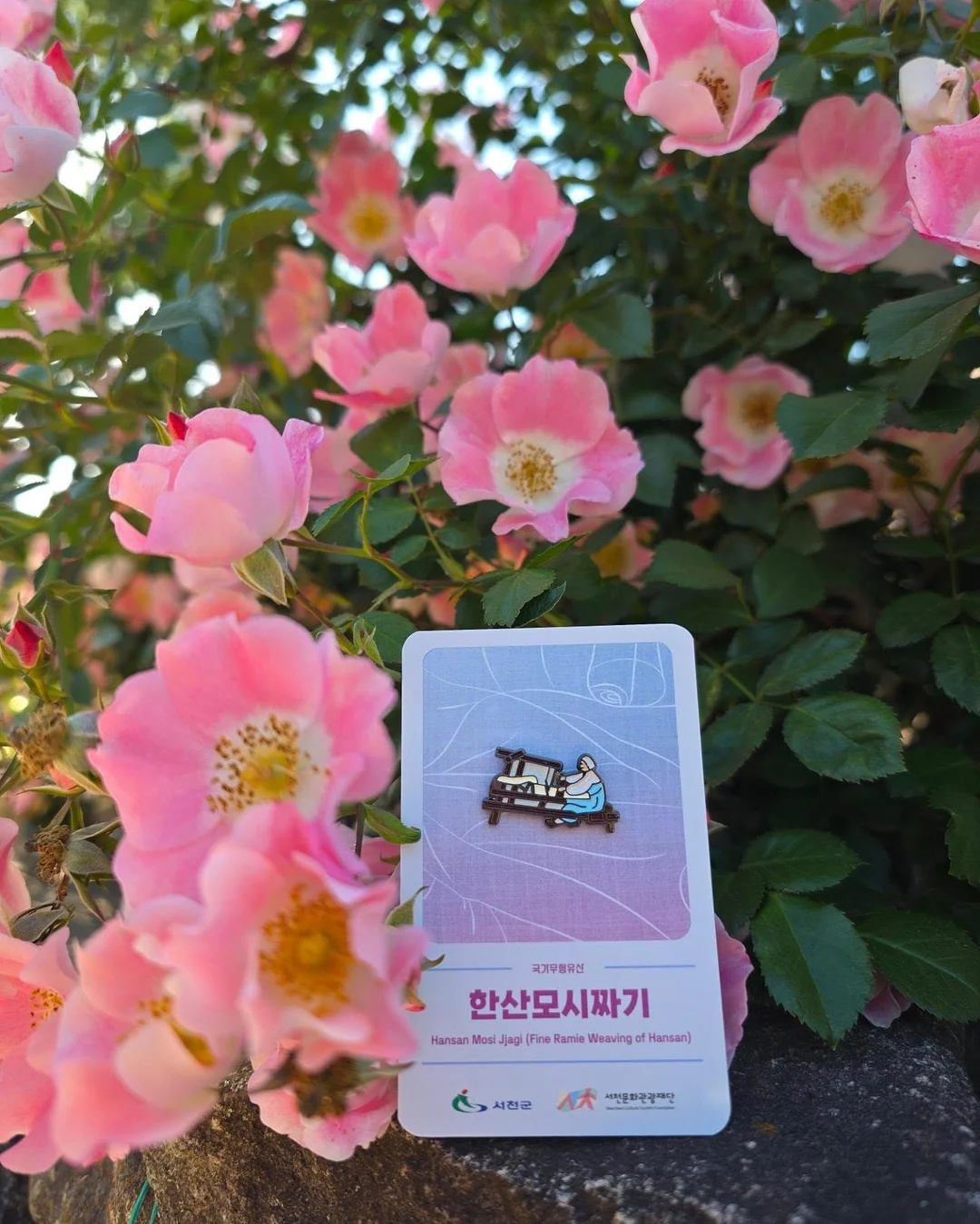 2026 대구 세계마스터즈 육상경기대회 참가 4