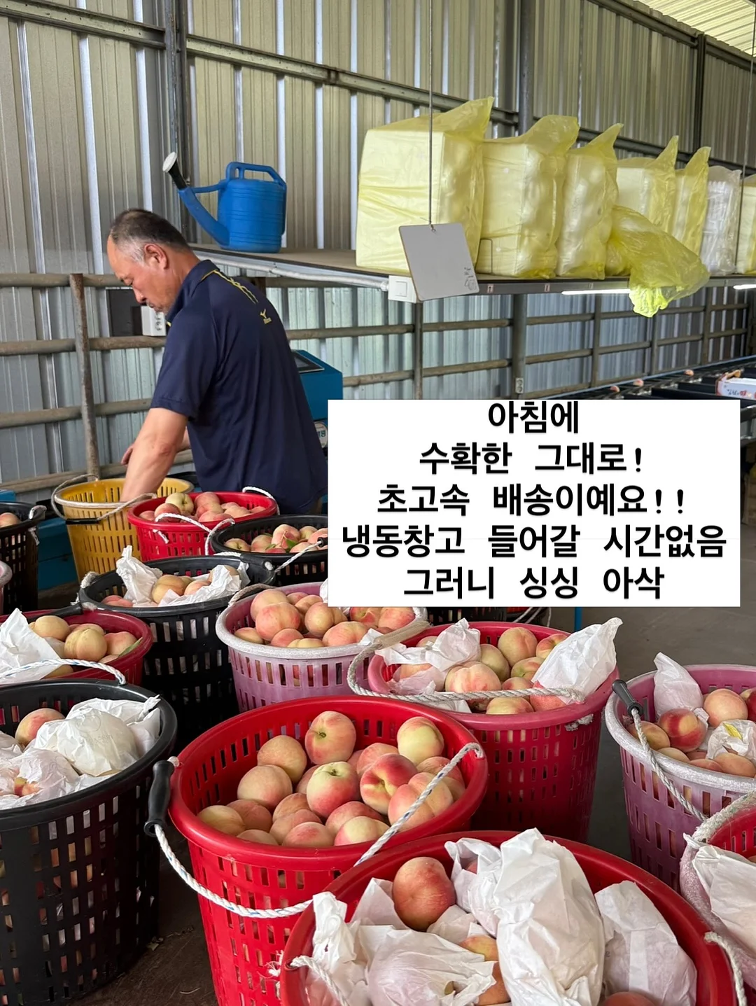 바지 18