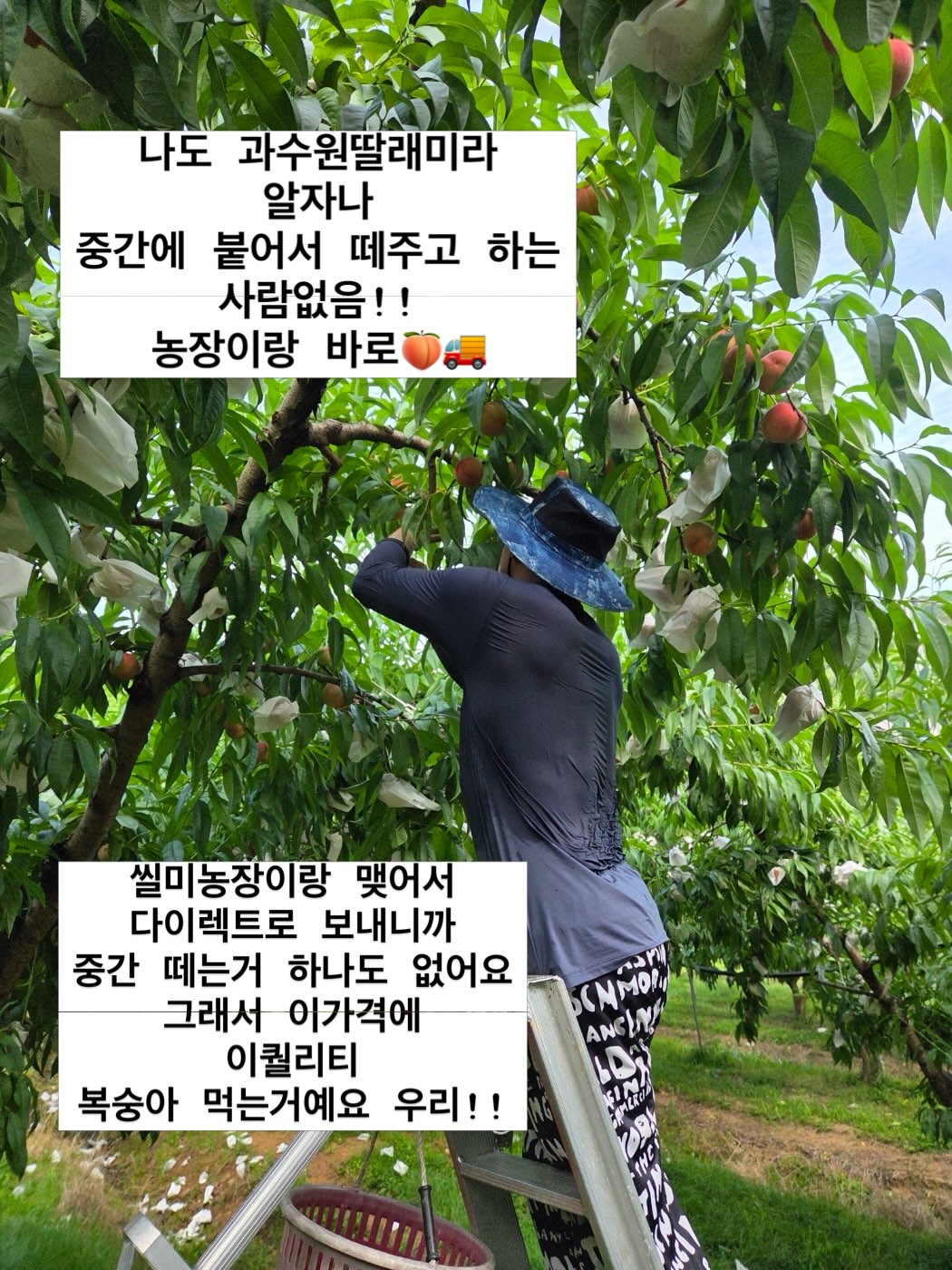 바지 19