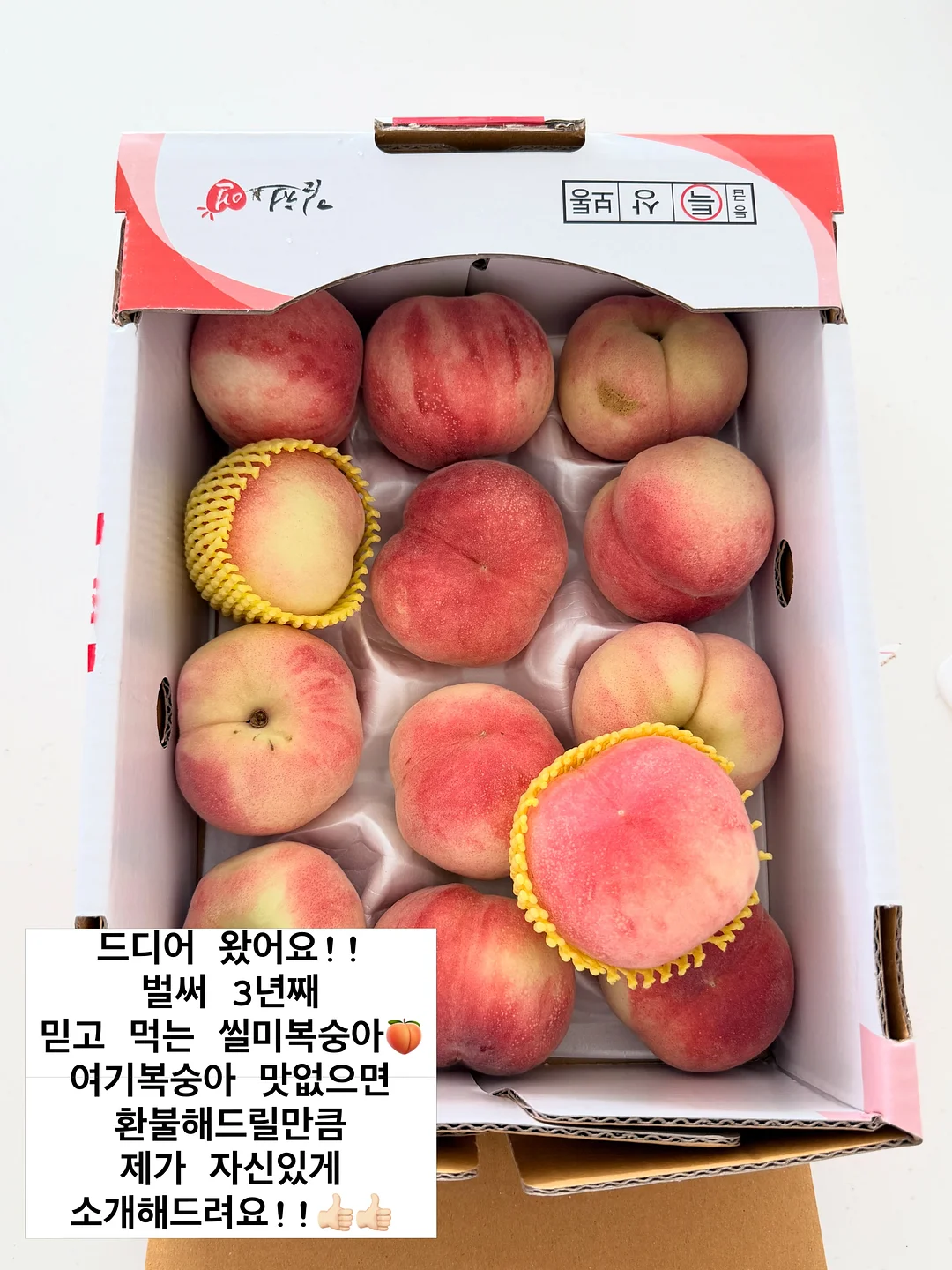 바지 2