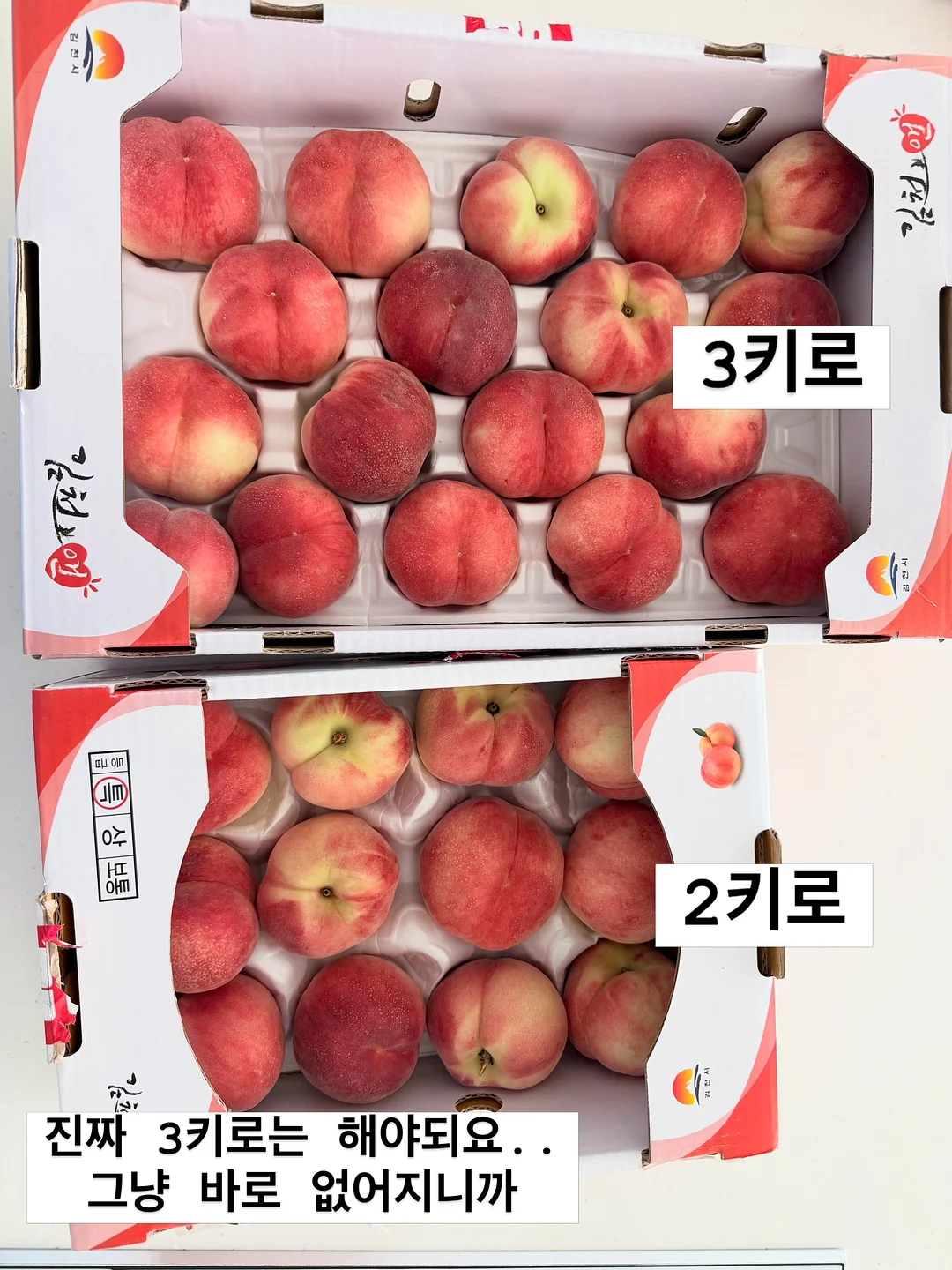 바지 4