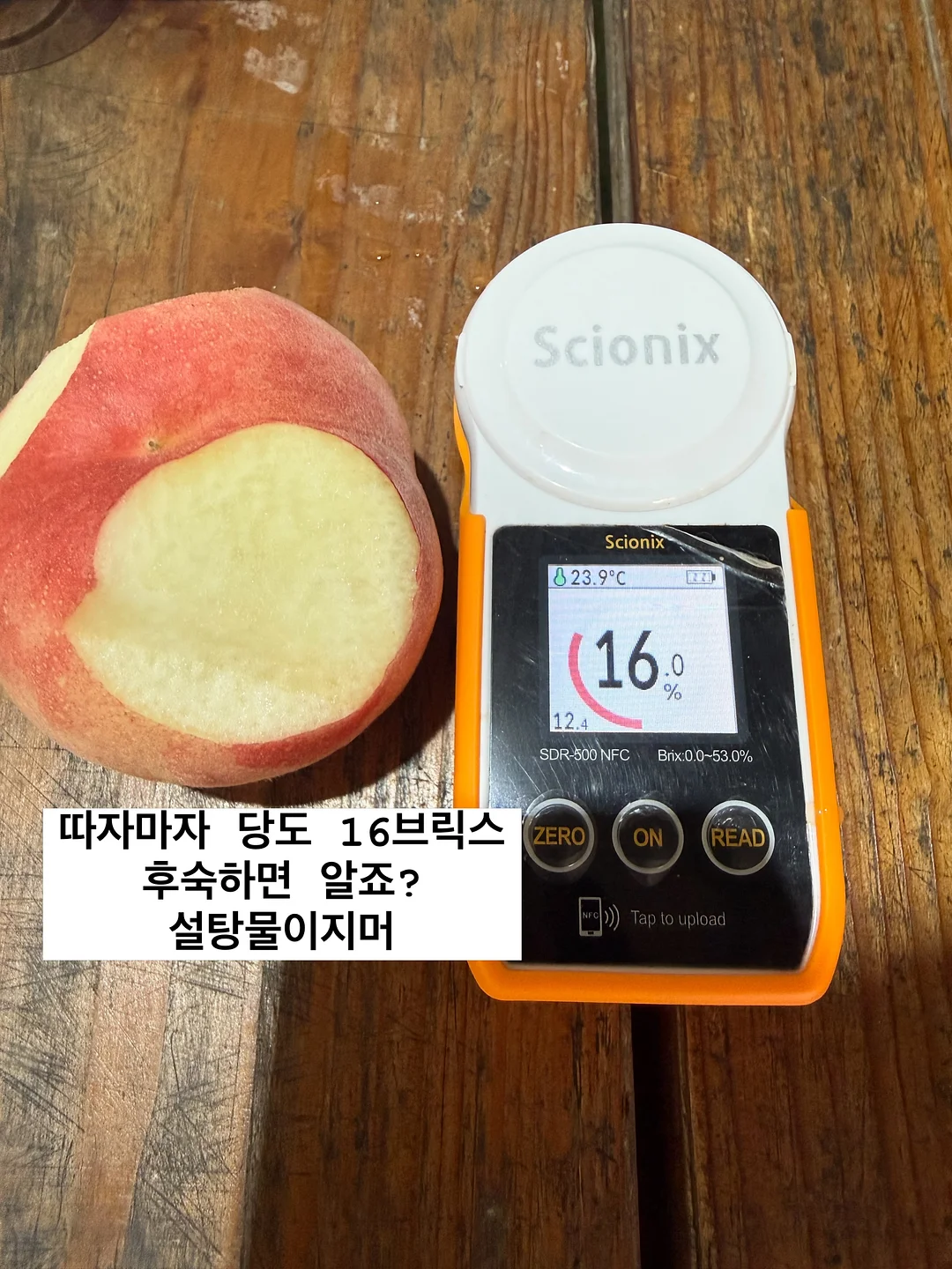 바지 9