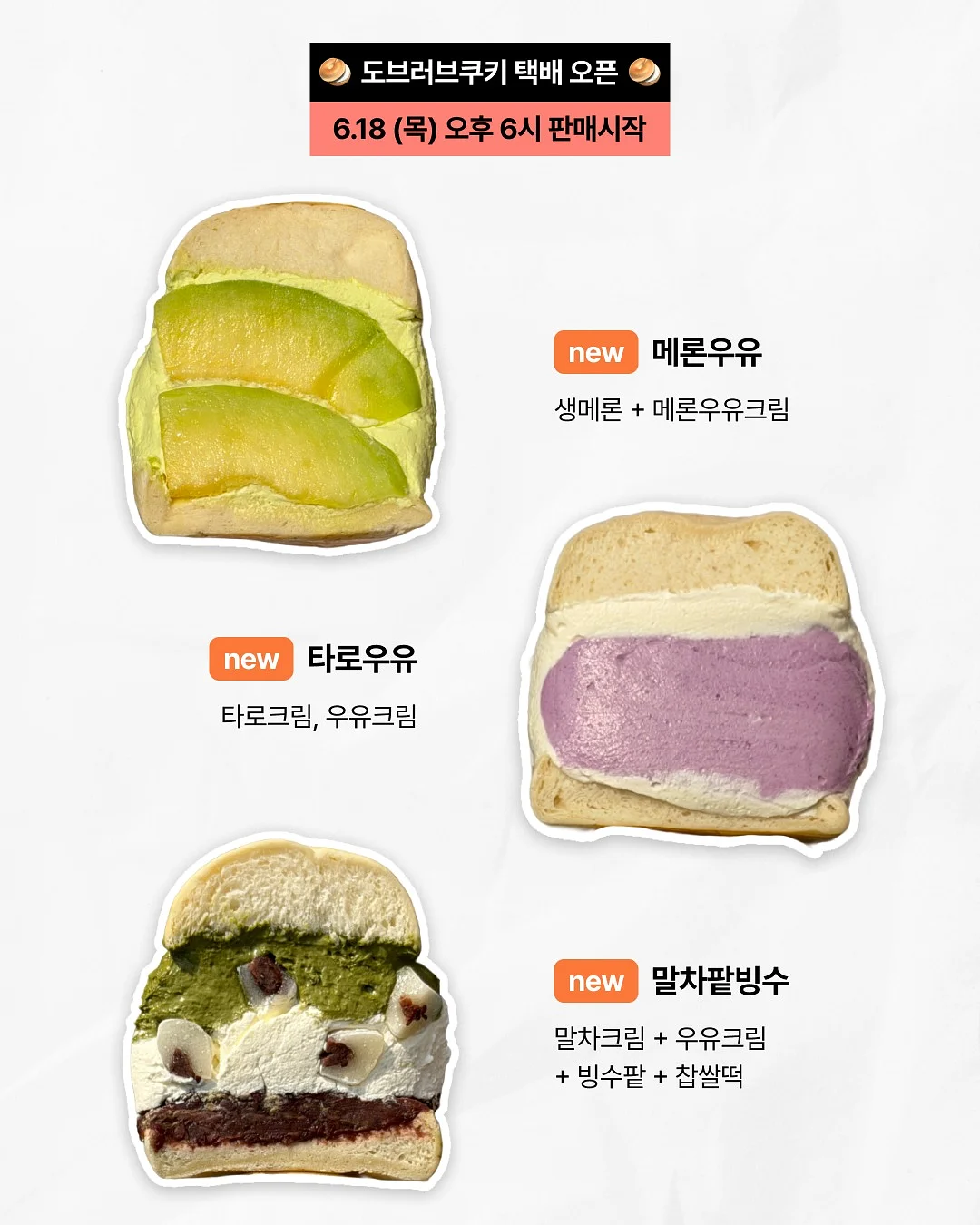 책 문진 2