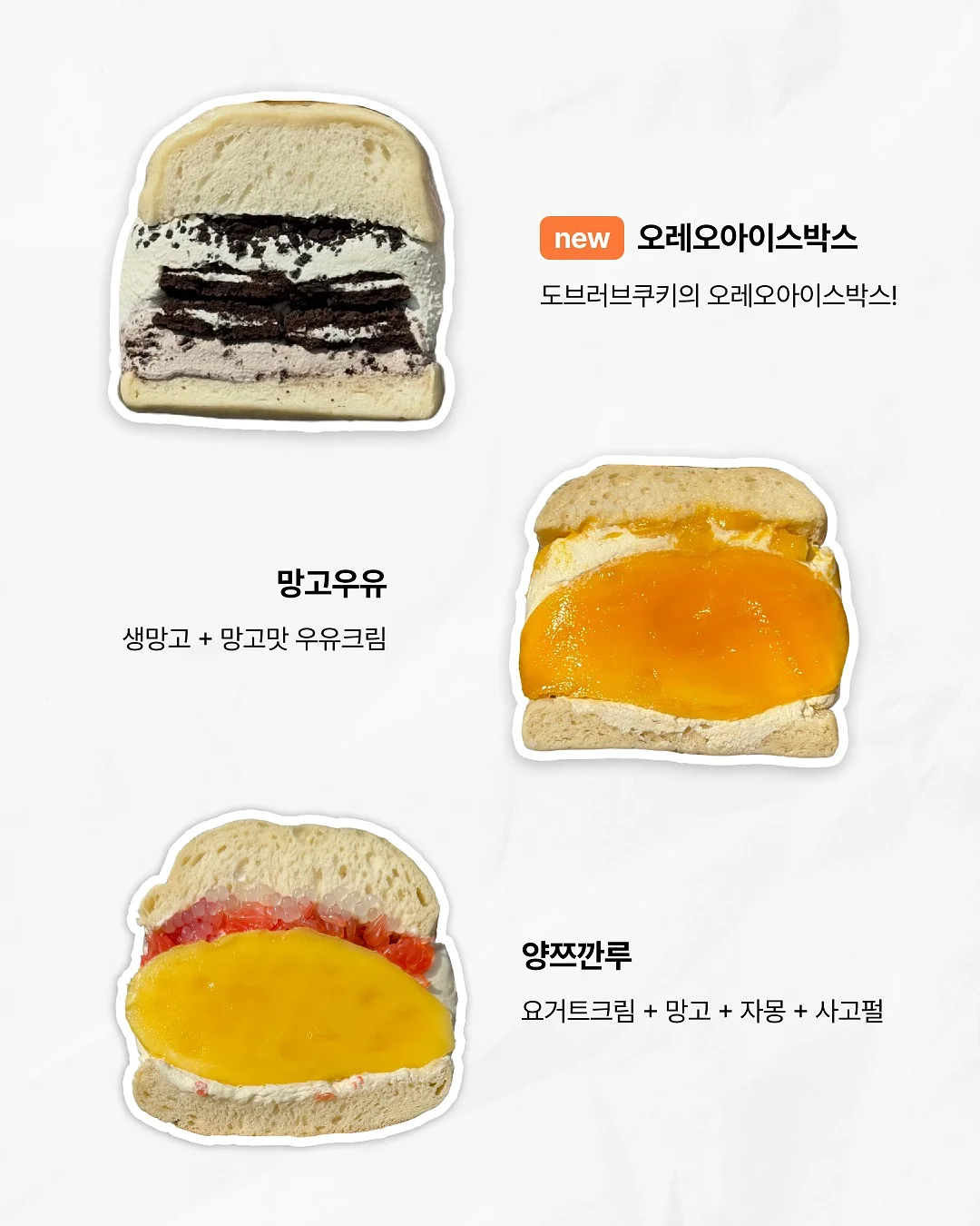 책 문진 4