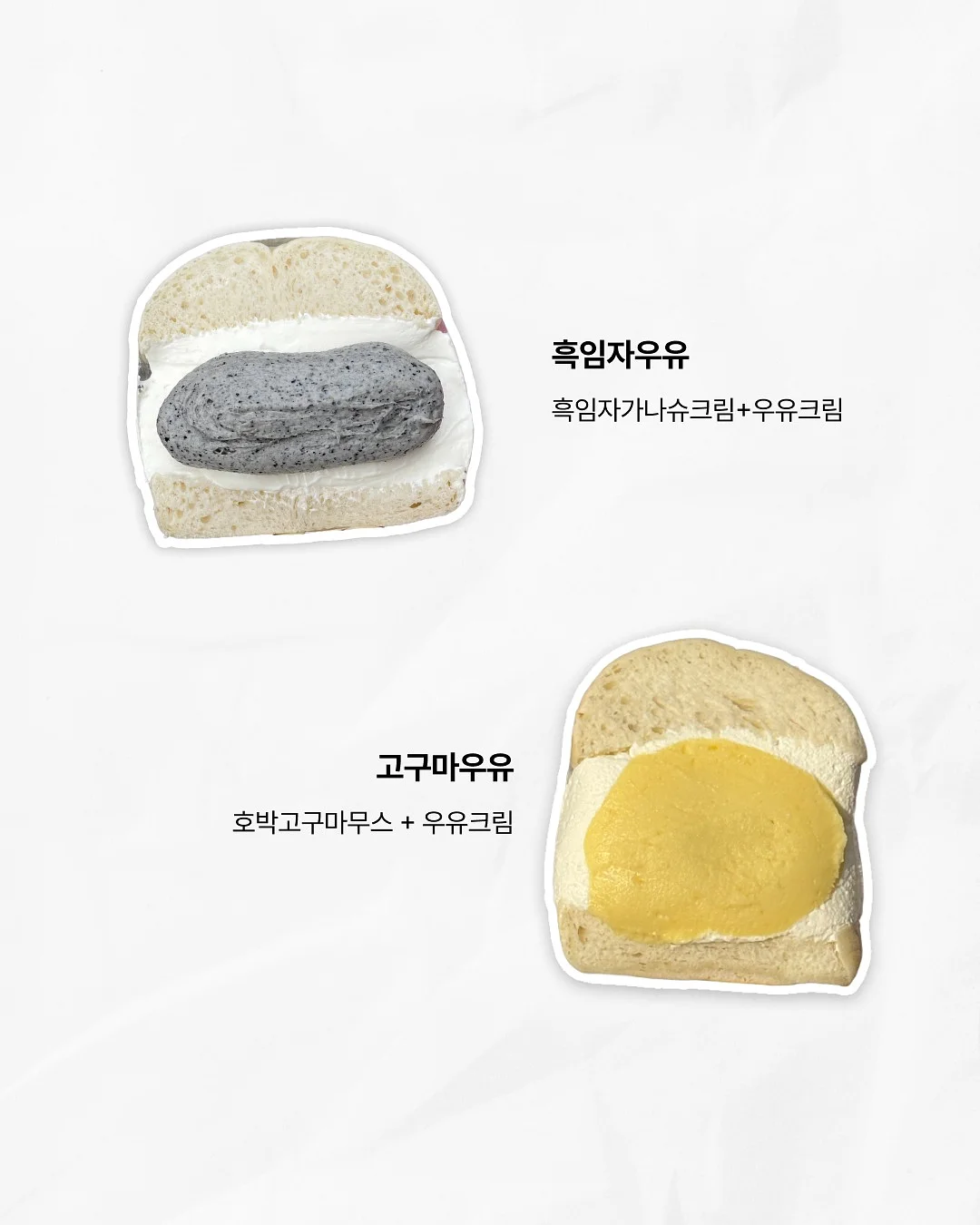 책 문진 6
