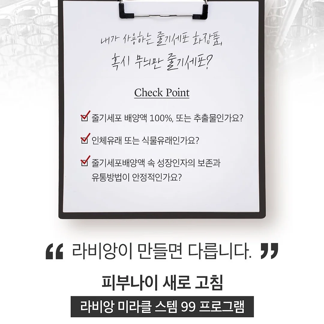 캠핑 의자 2개, 파라솔, 쿨러백 세트 11