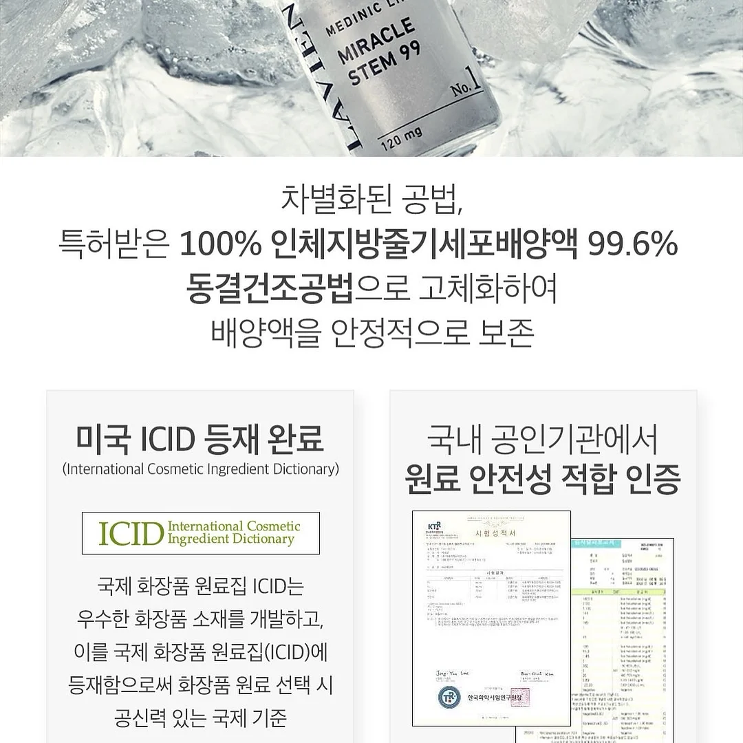 캠핑 의자 2개, 파라솔, 쿨러백 세트 8