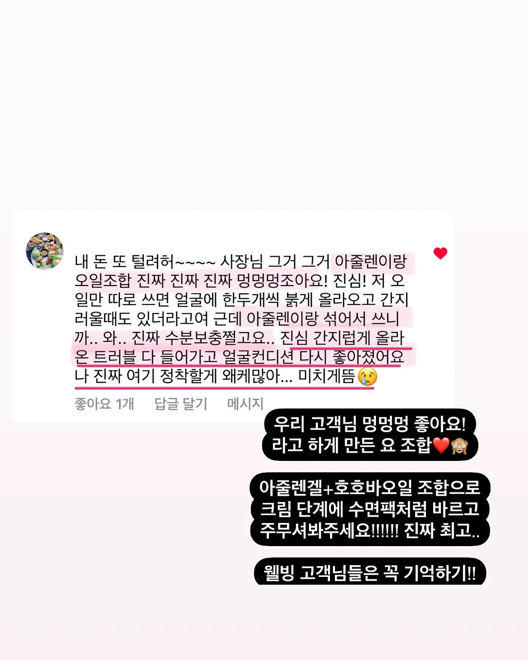 냉동 핑크 구아바 조각 11
