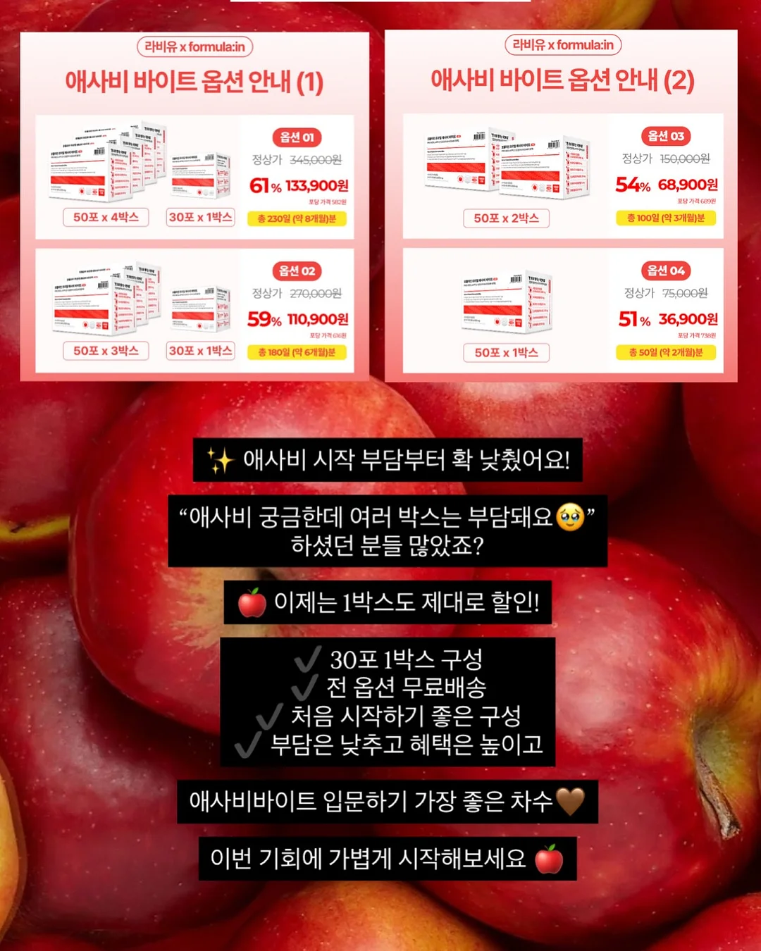 홀터 나시 2