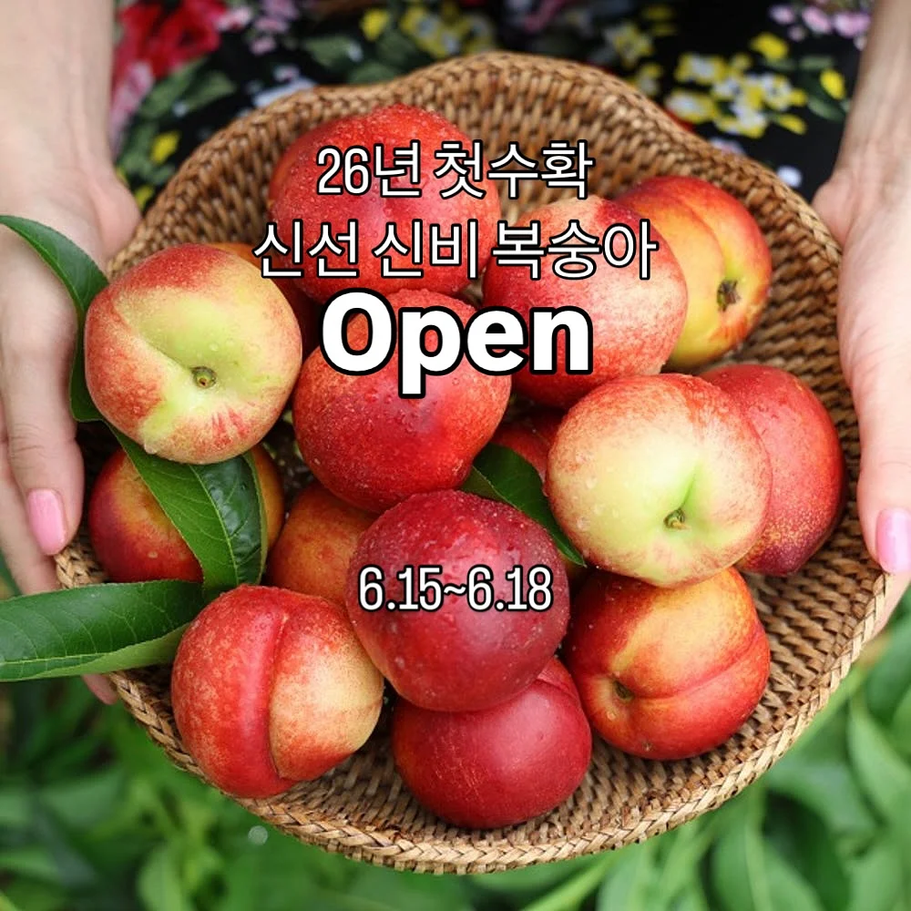 여름 기획 양말 10켤레 1