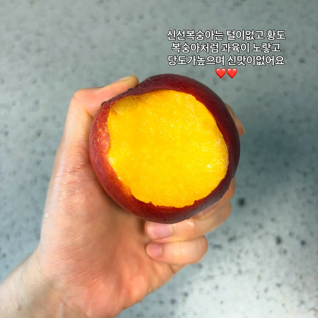 여름 기획 양말 10켤레 3
