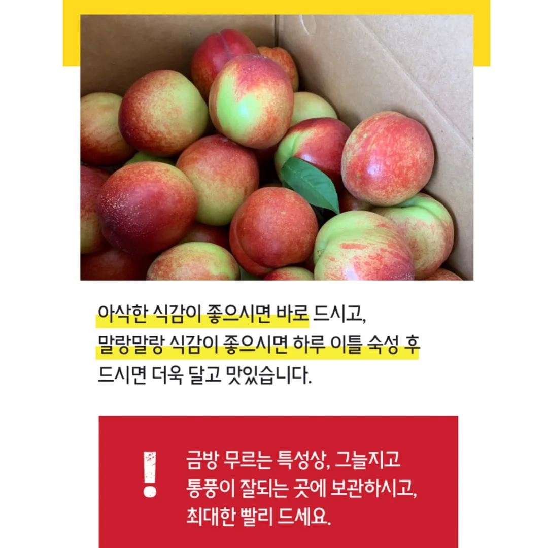 여름 기획 양말 10켤레 5