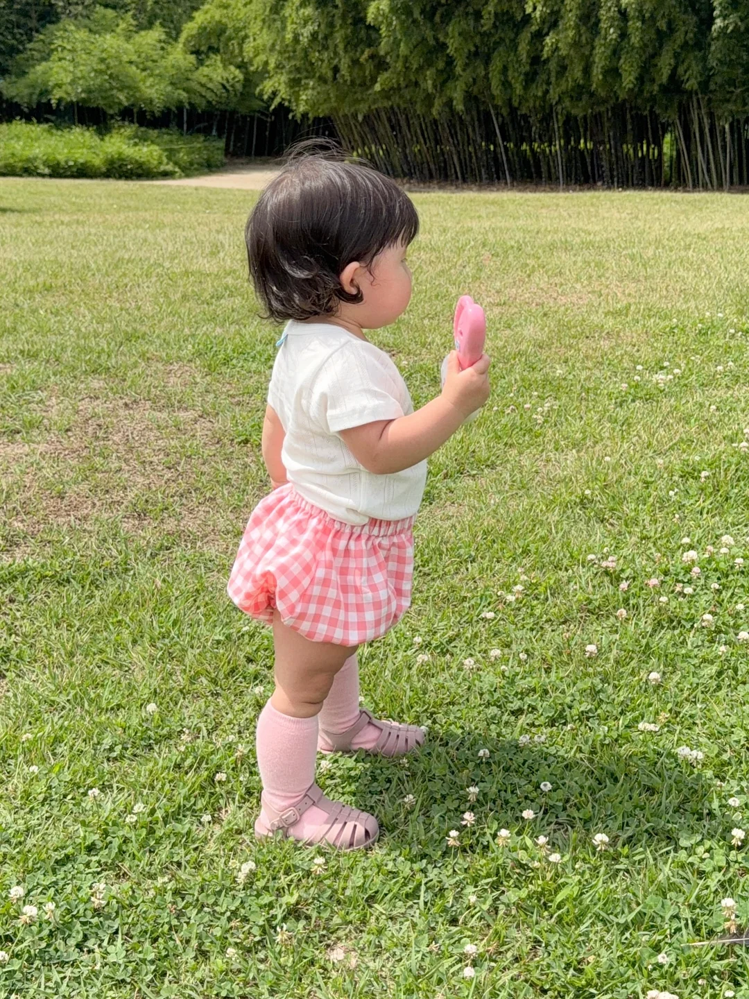 욕실 틈새청소솔 18