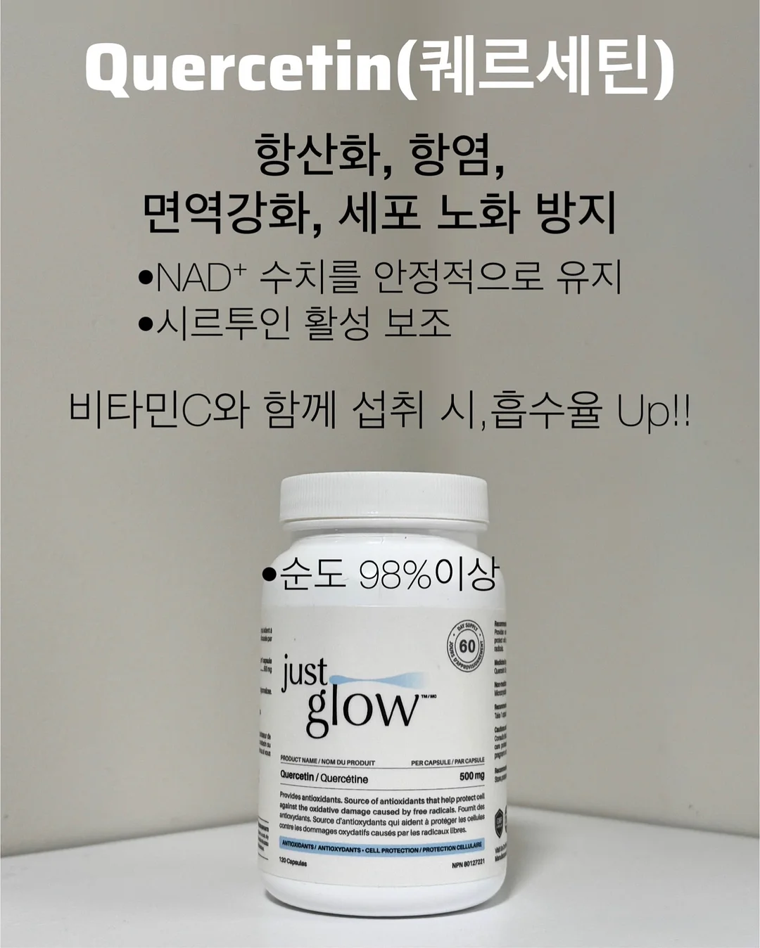 워리스톤 11