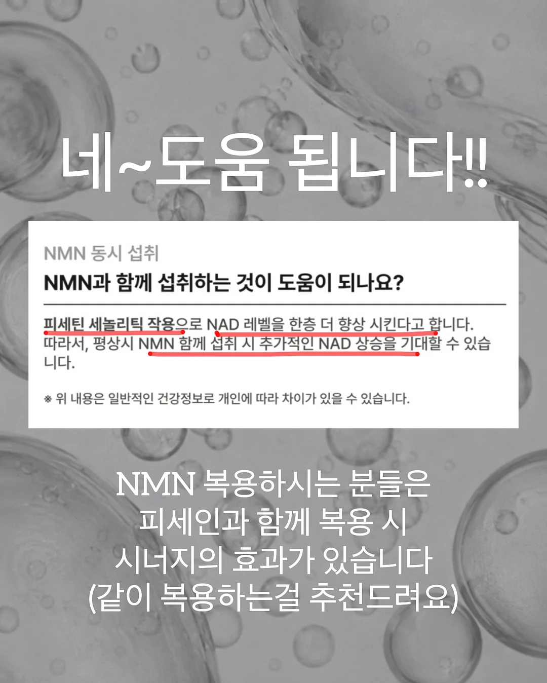 워리스톤 12