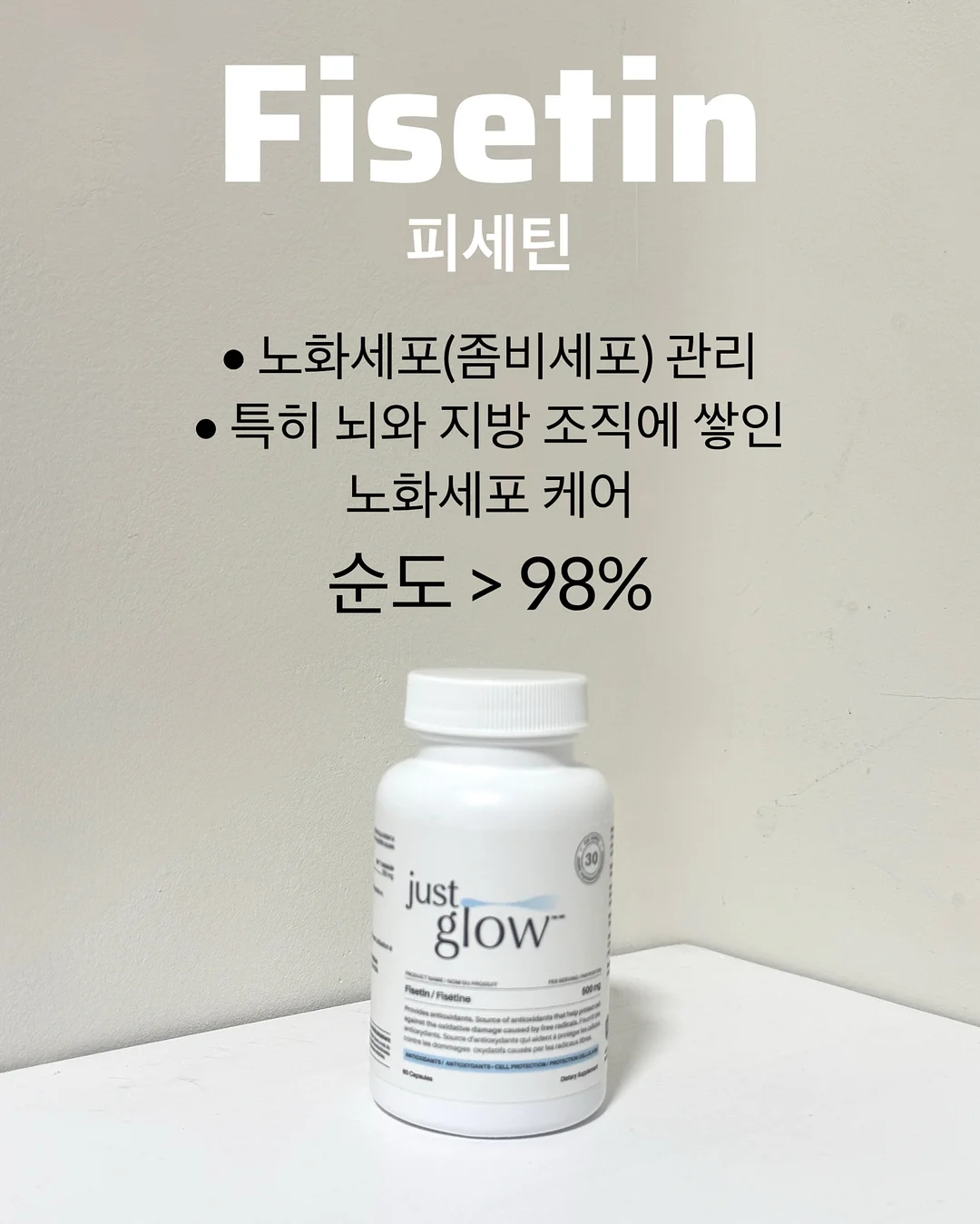 워리스톤 7