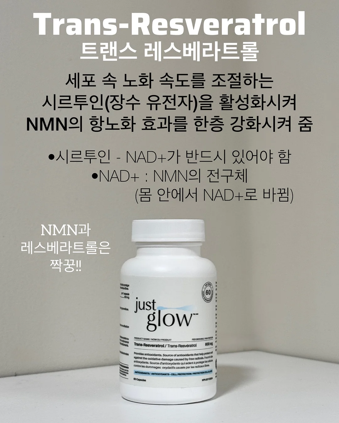 워리스톤 9