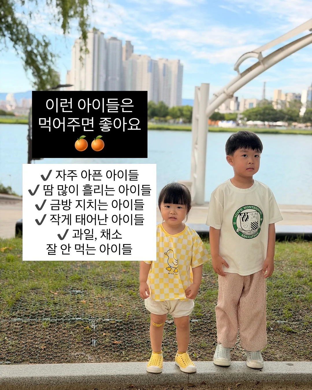 도넛 하수구 트랩 11