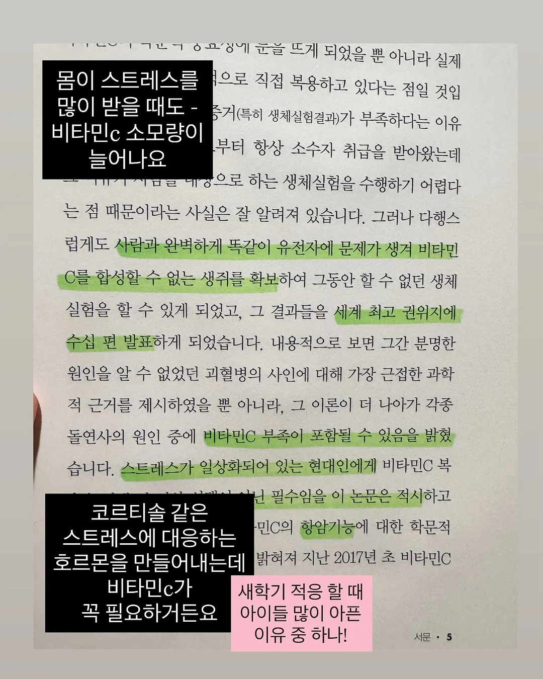 도넛 하수구 트랩 12