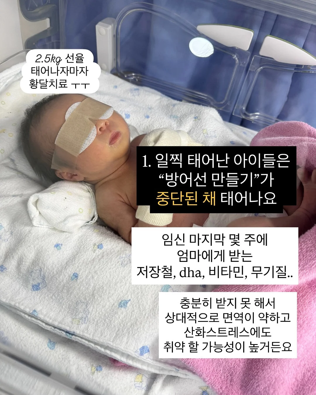 도넛 하수구 트랩 3