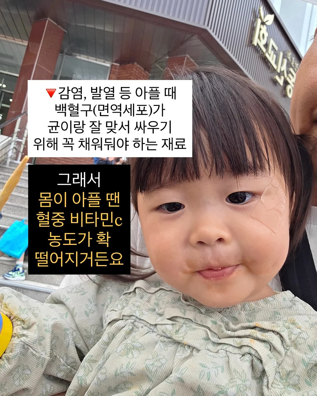 도넛 하수구 트랩 8