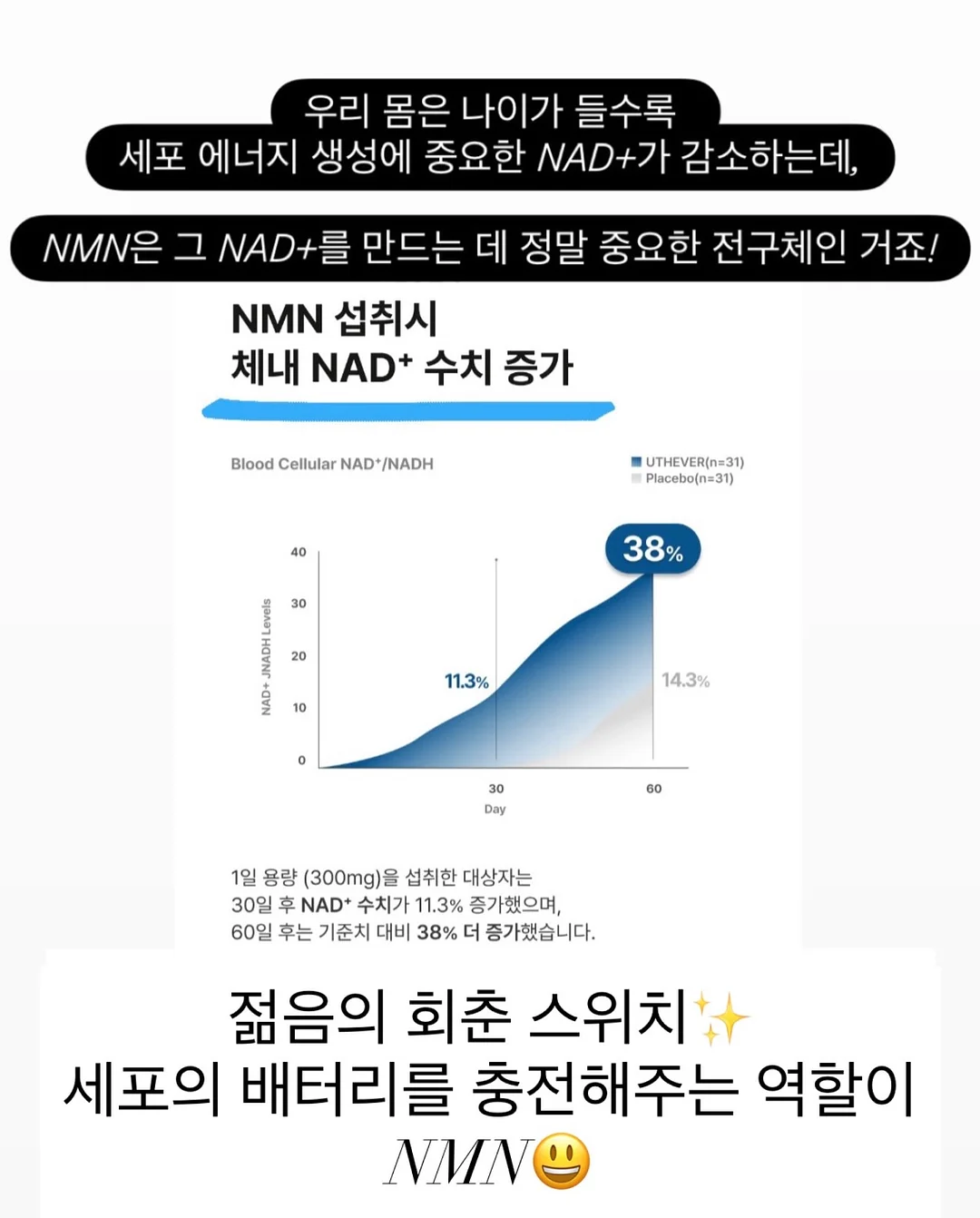 아디다스 잉글랜드 트랙탑 6