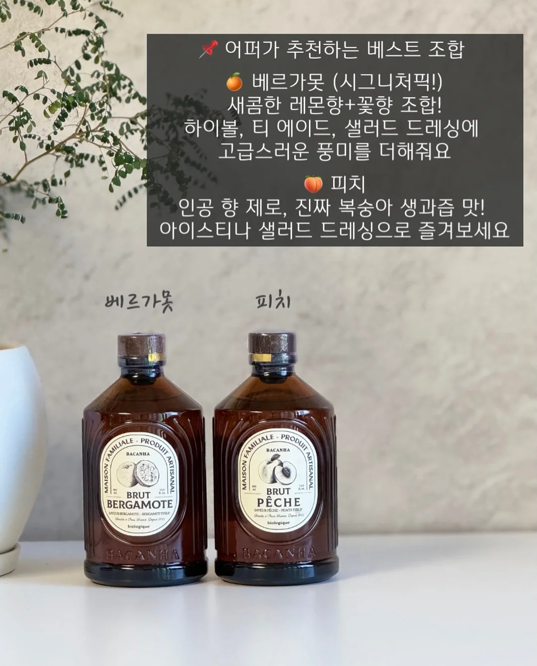 선생님 저 신고할 거예요 8