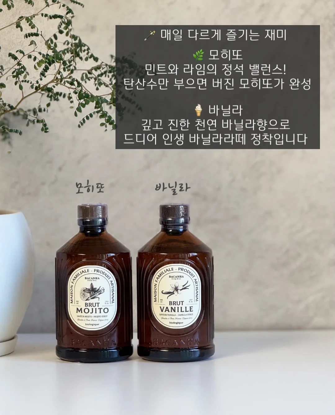 선생님 저 신고할 거예요 9
