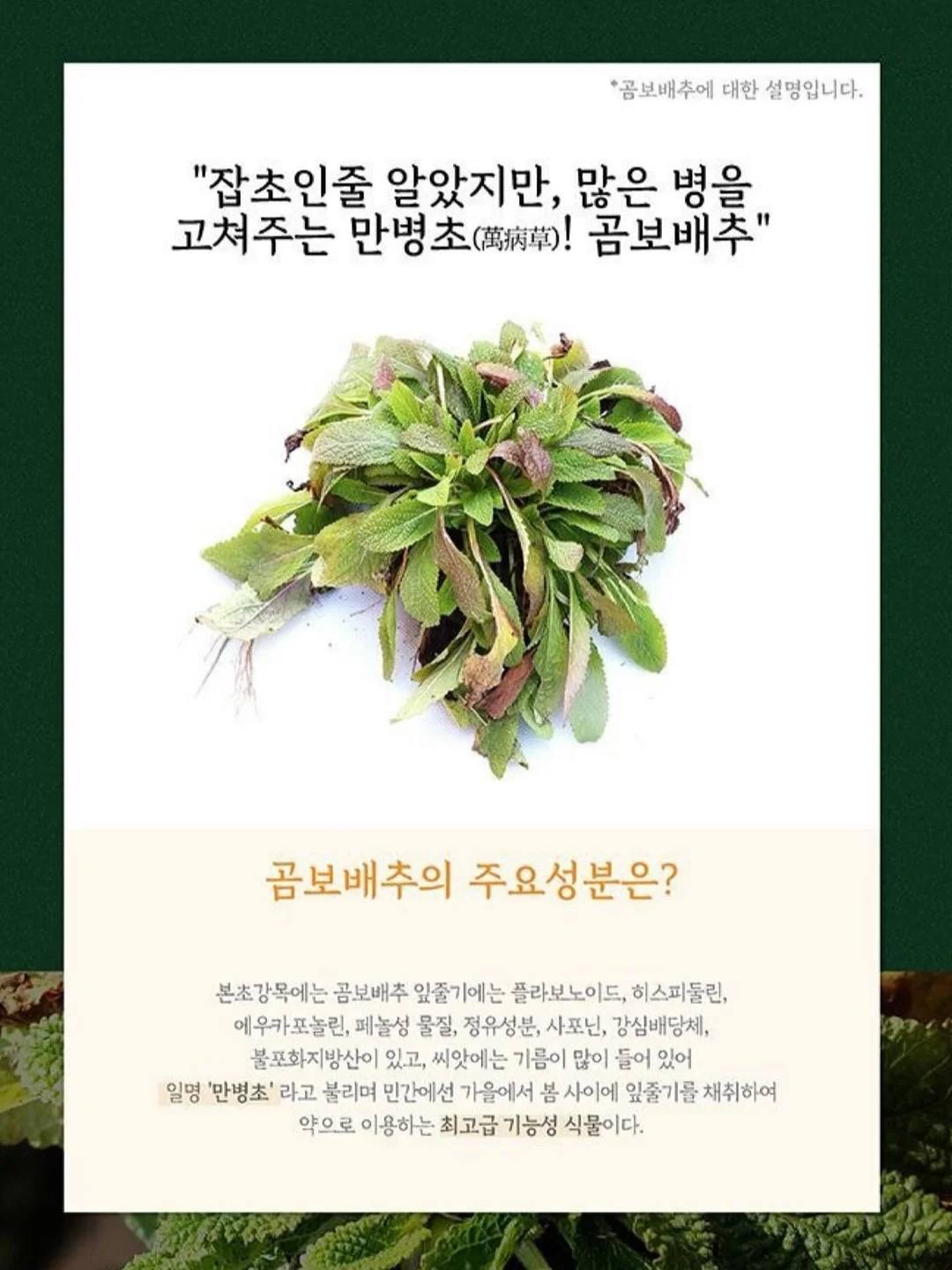 에끌라뒤땅 에프터 케어 썬크림 5