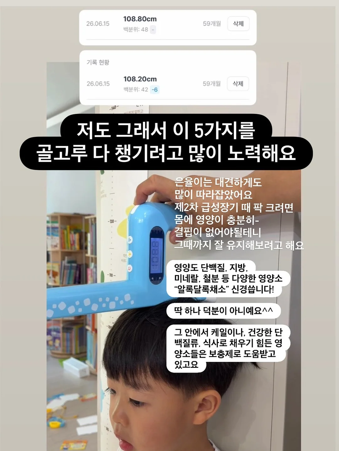 자동 합체 보자기 장바구니 12