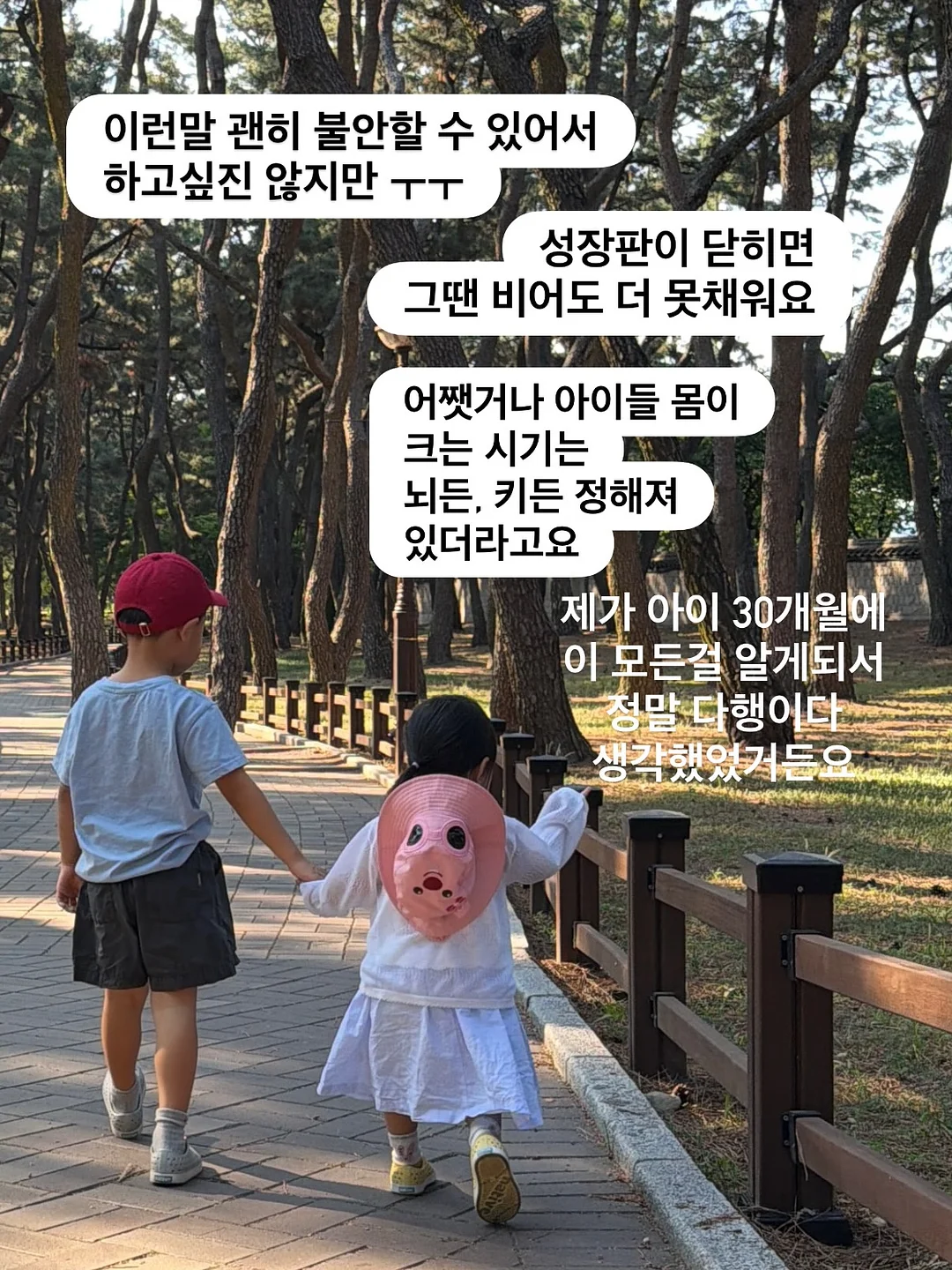 자동 합체 보자기 장바구니 13