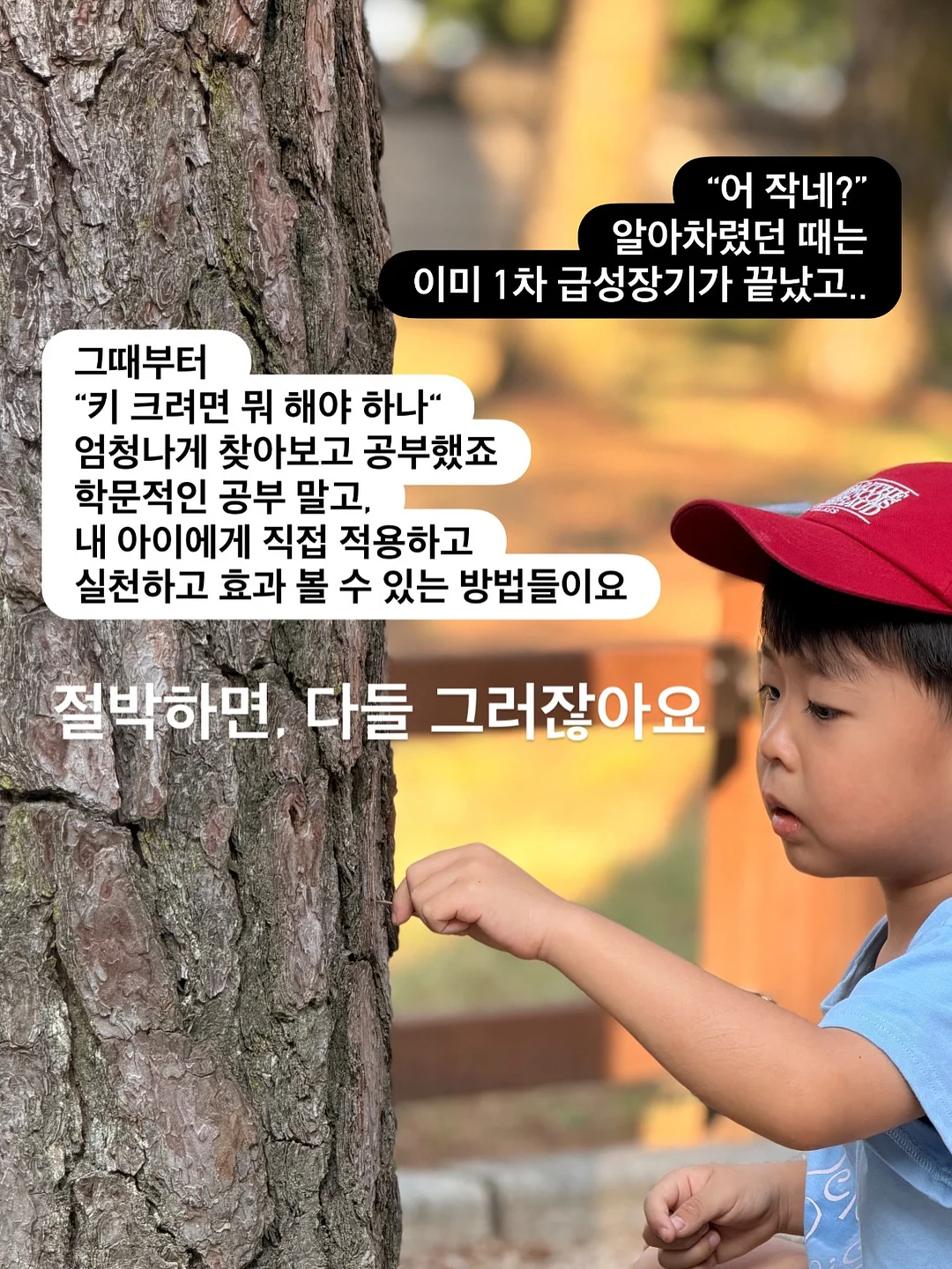 자동 합체 보자기 장바구니 4
