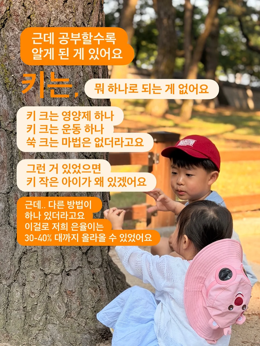 자동 합체 보자기 장바구니 5