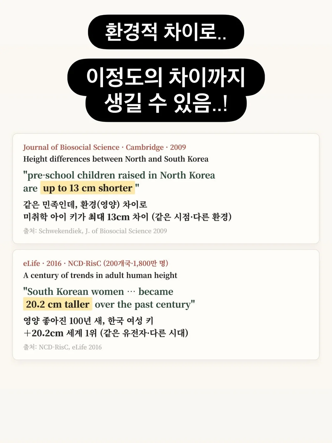 자동 합체 보자기 장바구니 7
