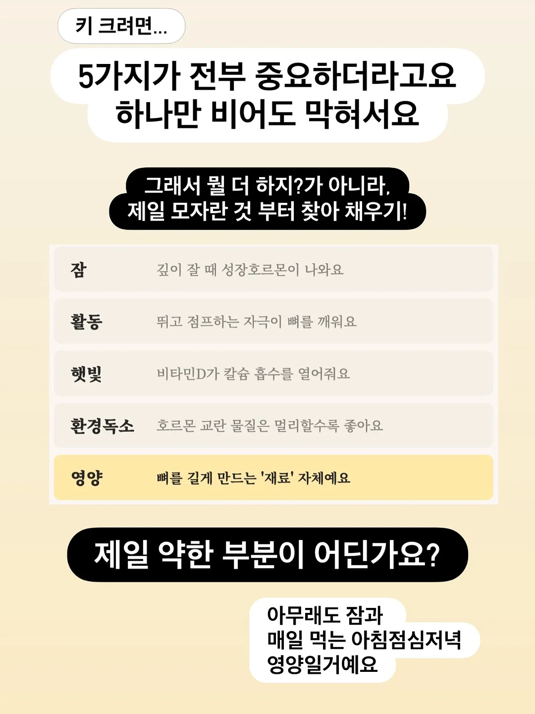 자동 합체 보자기 장바구니 8