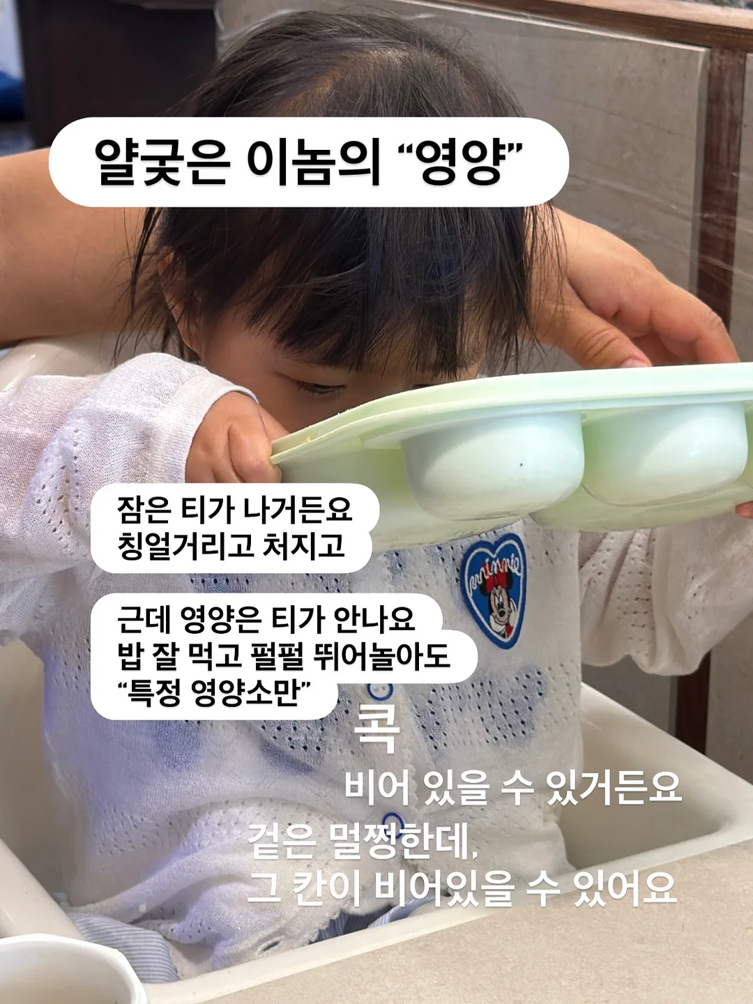 자동 합체 보자기 장바구니 9